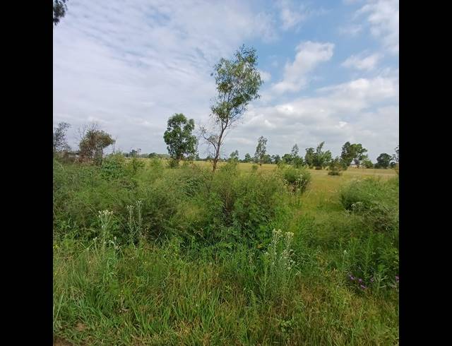 87,023M² VACANT LAND FOR SALE IN OPHIR AH